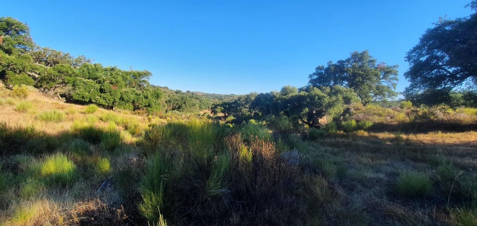 Grunde uden byggetilladelser til salg i San Vicente de Alcantara - € 56.000 (Ref: 9201906)