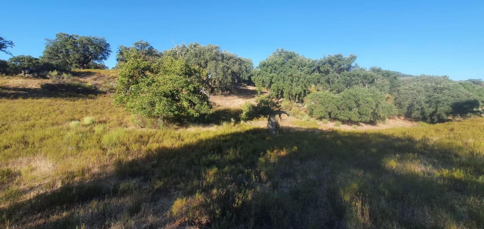 Grunde uden byggetilladelser til salg i San Vicente de Alcantara - € 56.000 (Ref: 9201906)