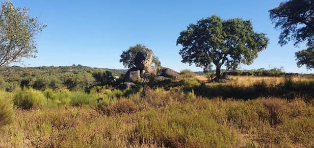 Undeveloped Land for sale in San Vicente de Alcántara - € 56,000 (Ref: 9201906)