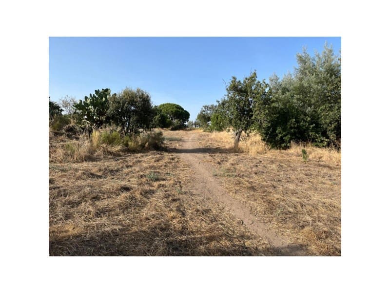 Grunde uden byggetilladelser til salg i Valencia de Alcantara - € 160.000 (Ref: 9201910)