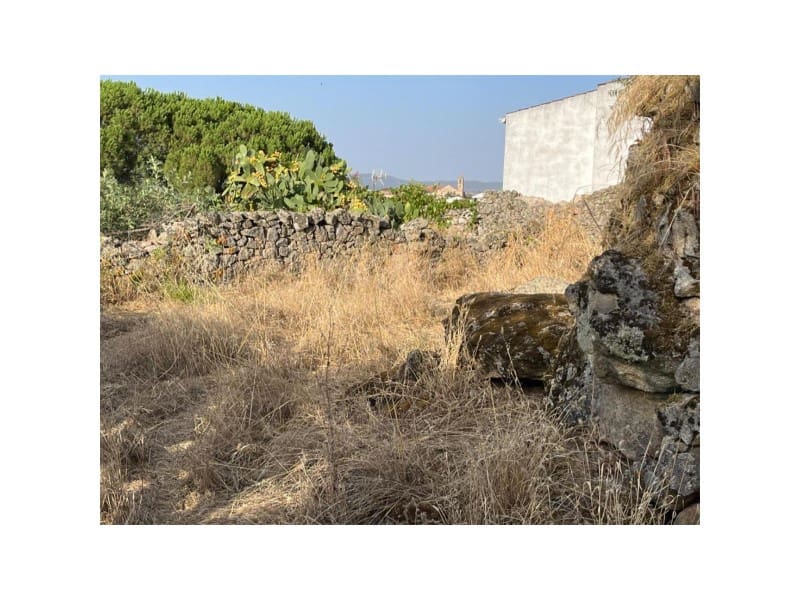 Grunde uden byggetilladelser til salg i Valencia de Alcantara - € 160.000 (Ref: 9201910)