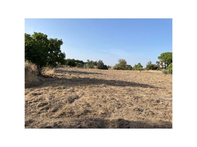 Terreno/Finca Rústica en Valencia de Alcántara en venta - 160.000 € (Ref: 9201910)