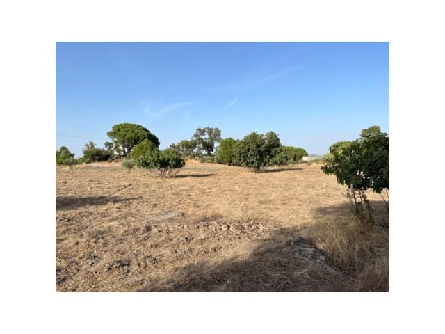 Terreno/Finca Rústica en Valencia de Alcántara en venta - 160.000 € (Ref: 9201910)