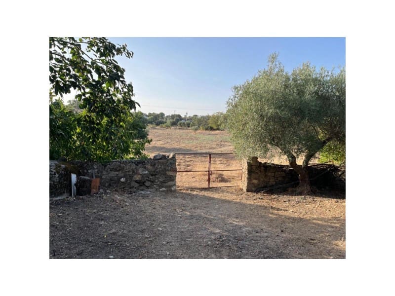 Grunde uden byggetilladelser til salg i Valencia de Alcantara - € 160.000 (Ref: 9201910)