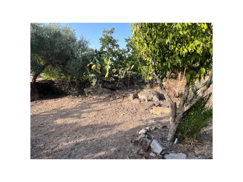 Grunde uden byggetilladelser til salg i Valencia de Alcantara - € 160.000 (Ref: 9201910)