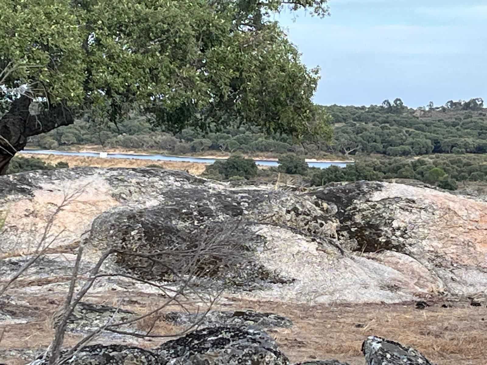 Finca/Landehus til salg i Valencia de Alcantara med garage - € 160.000 (Ref: 9201913)