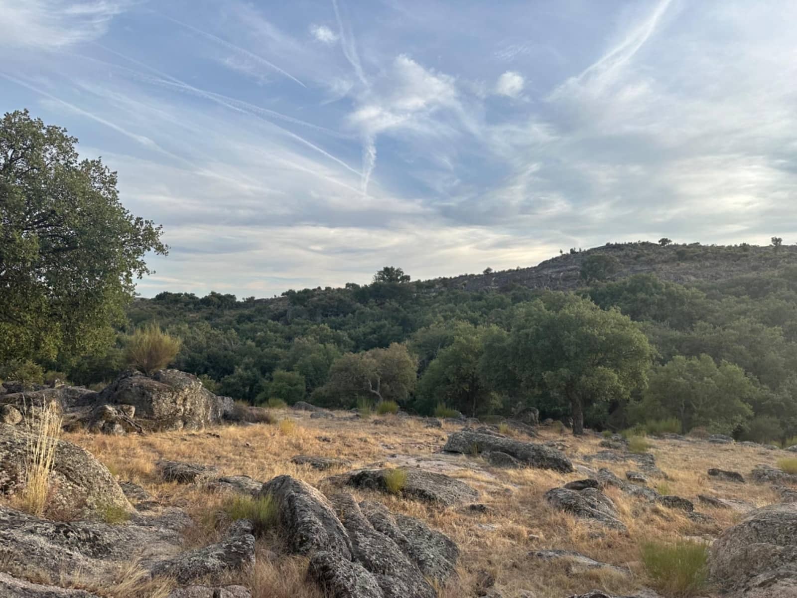 Finca/Landehus til salg i Valencia de Alcantara med garage - € 160.000 (Ref: 9201913)