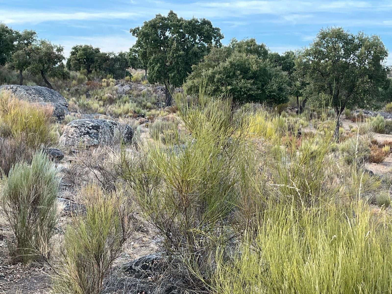 Finca/Landehus til salg i Valencia de Alcantara med garage - € 160.000 (Ref: 9201913)