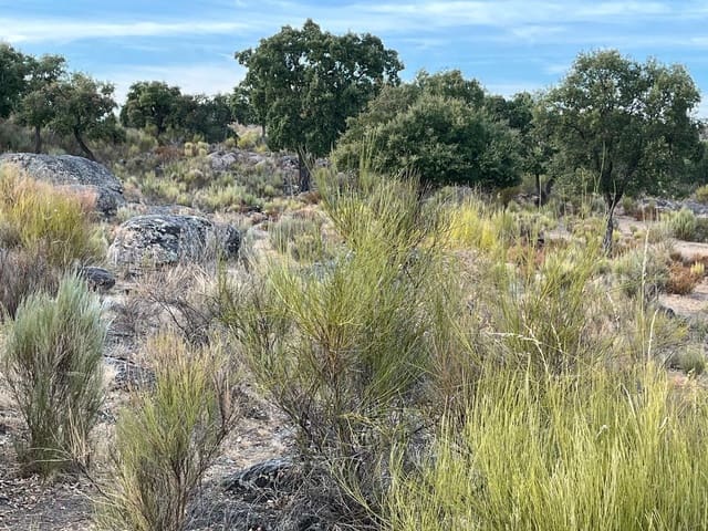 Finca/Hus på landet till salu i Valencia de Alcántara med garage - 160 000 € (Ref: 9201913)