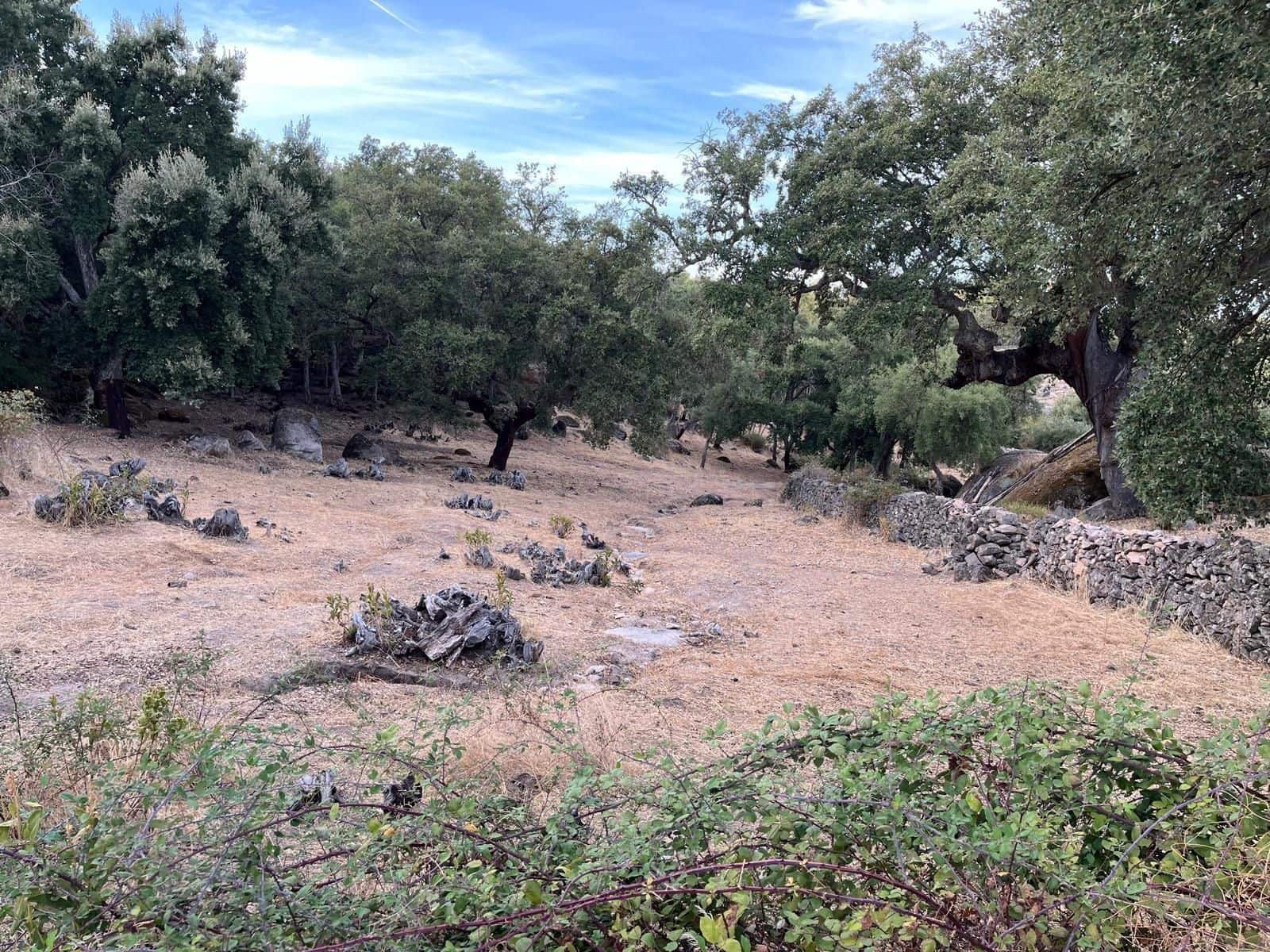 Finca/Landehus til salg i Valencia de Alcantara med garage - € 160.000 (Ref: 9201913)