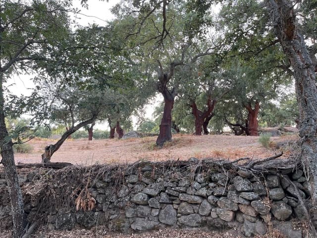 Finca/Hus på landet till salu i Valencia de Alcántara med garage - 160 000 € (Ref: 9201913)