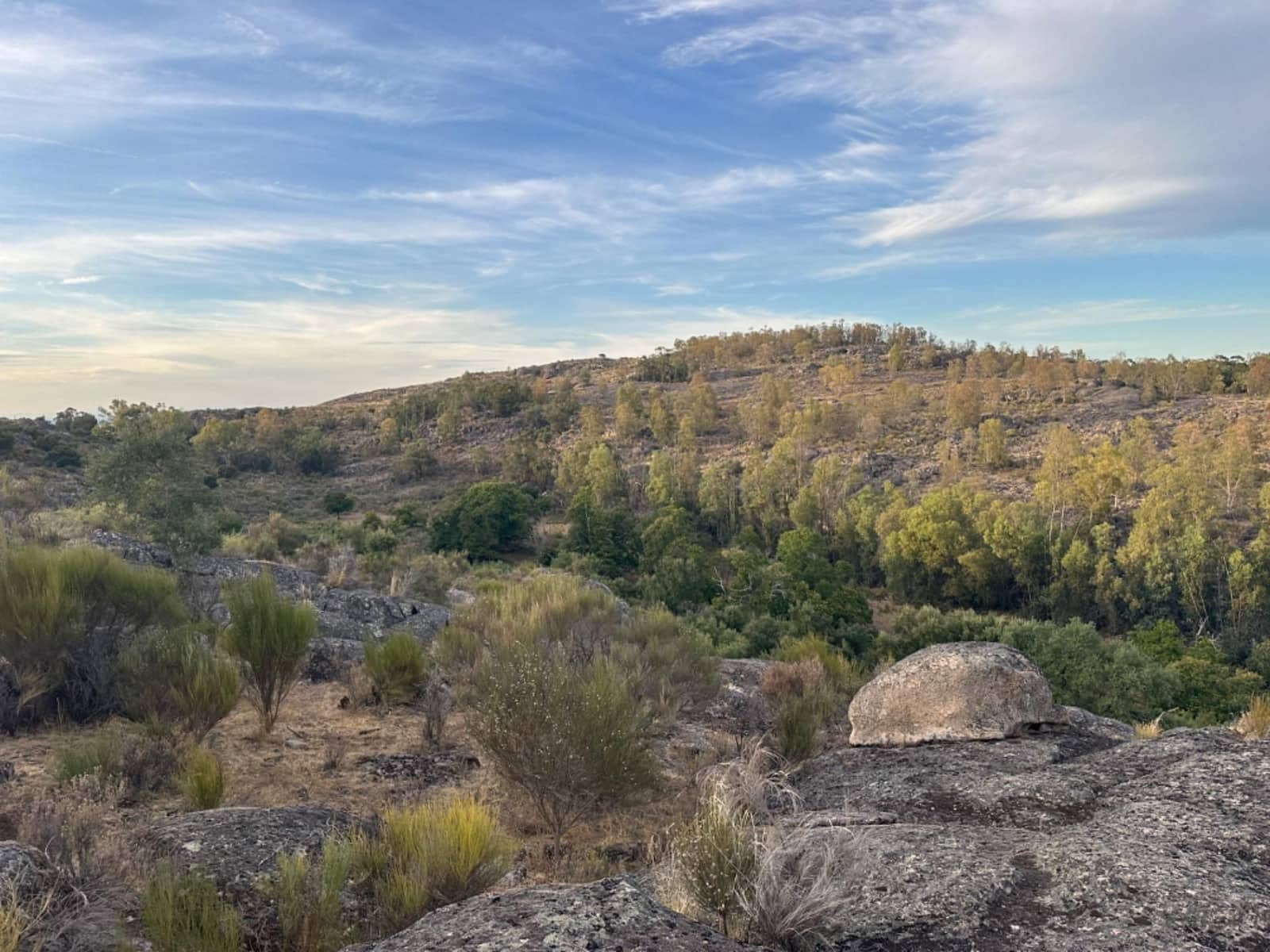 Finca/Landehus til salg i Valencia de Alcantara med garage - € 160.000 (Ref: 9201913)