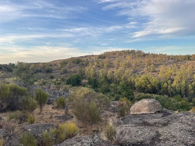 Finca/Hus på landet till salu i Valencia de Alcántara med garage - 160 000 € (Ref: 9201913)