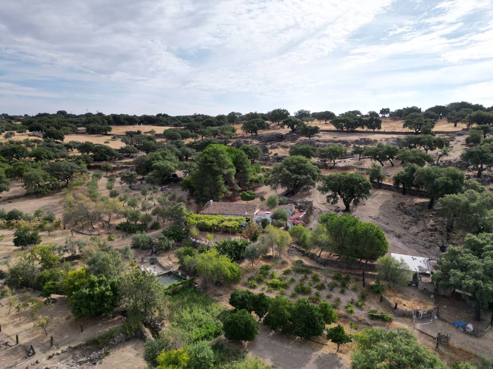 3 soveværelse Finca/Landehus til salg i San Vicente de Alcantara - € 98.000 (Ref: 9219712)