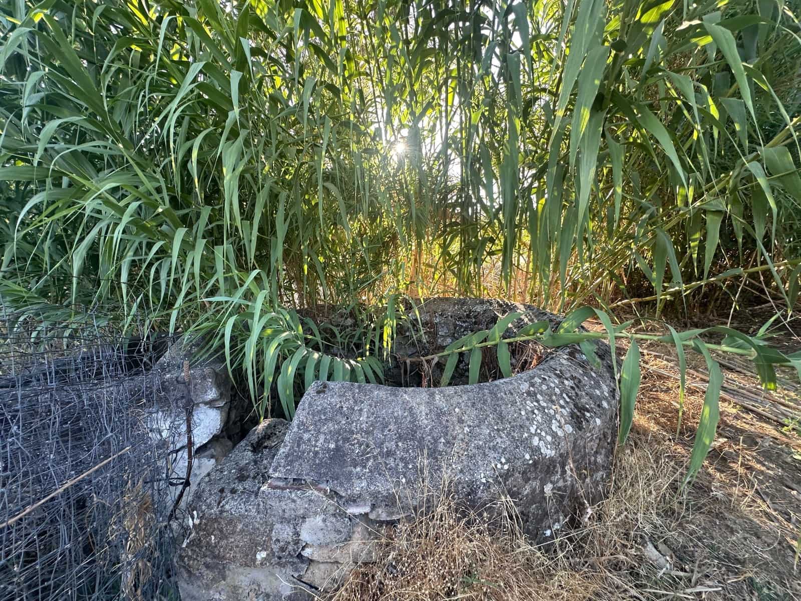 3 soveværelse Finca/Landehus til salg i San Vicente de Alcantara - € 98.000 (Ref: 9219712)