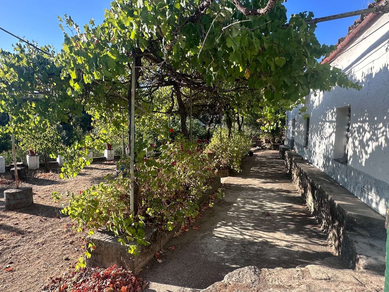 3 soveværelse Finca/Landehus til salg i San Vicente de Alcantara - € 98.000 (Ref: 9219712)