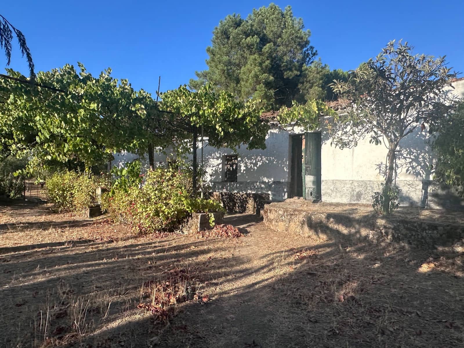 3 soveværelse Finca/Landehus til salg i San Vicente de Alcantara - € 98.000 (Ref: 9219712)