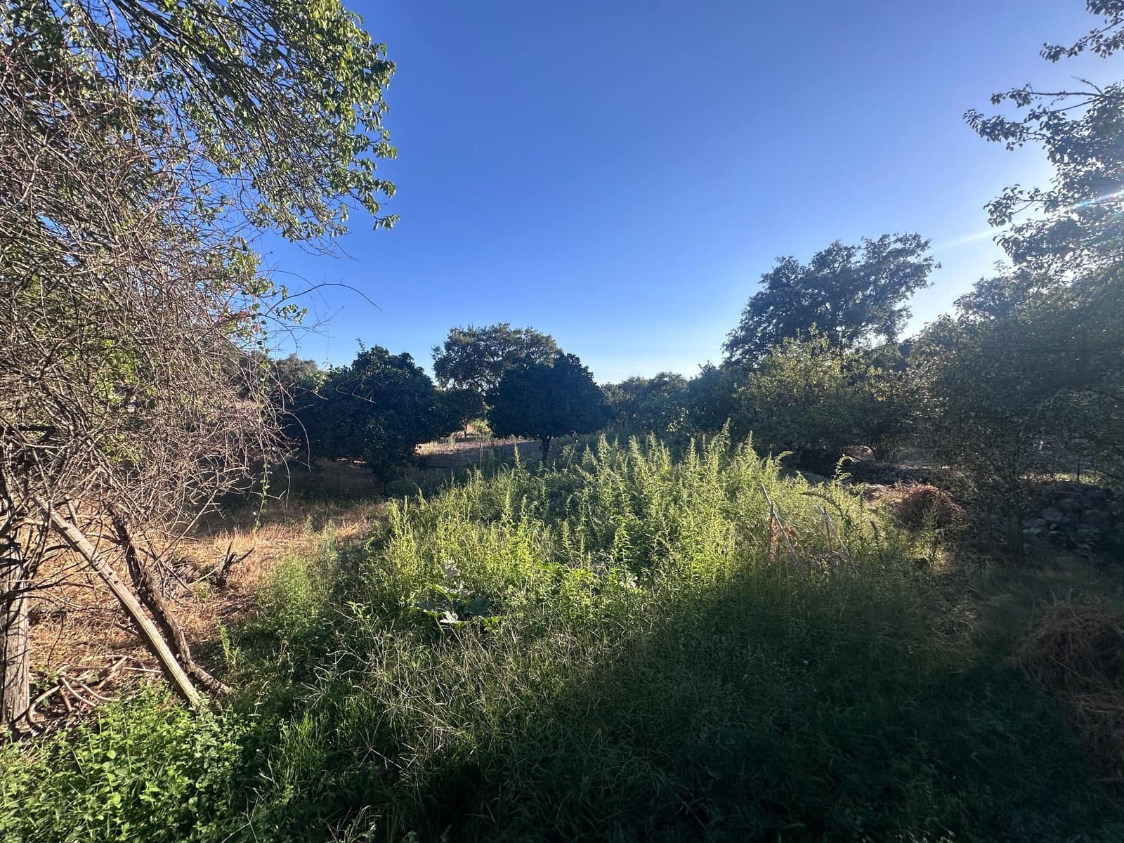 3 soveværelse Finca/Landehus til salg i San Vicente de Alcantara - € 98.000 (Ref: 9219712)