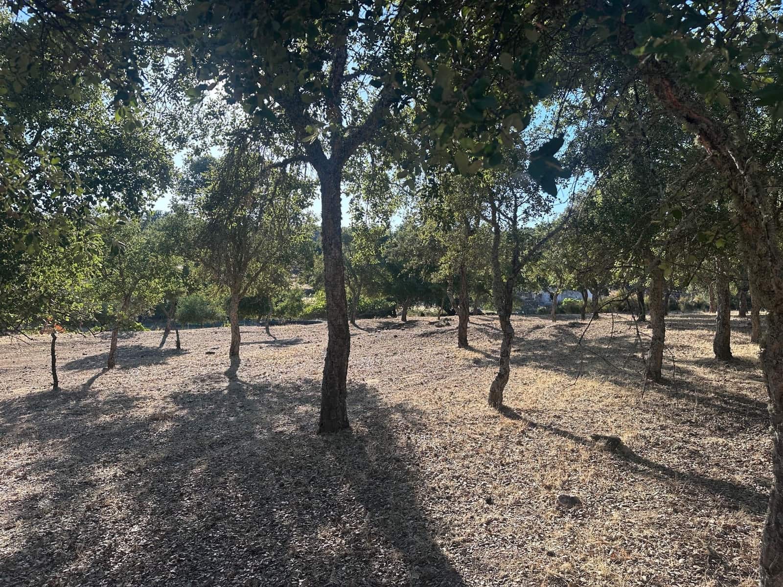 3 soveværelse Finca/Landehus til salg i San Vicente de Alcantara - € 98.000 (Ref: 9219712)