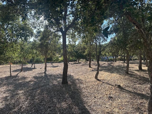 3 bedroom Finca/Country House for sale in San Vicente de Alcántara - € 98,000 (Ref: 9219712)