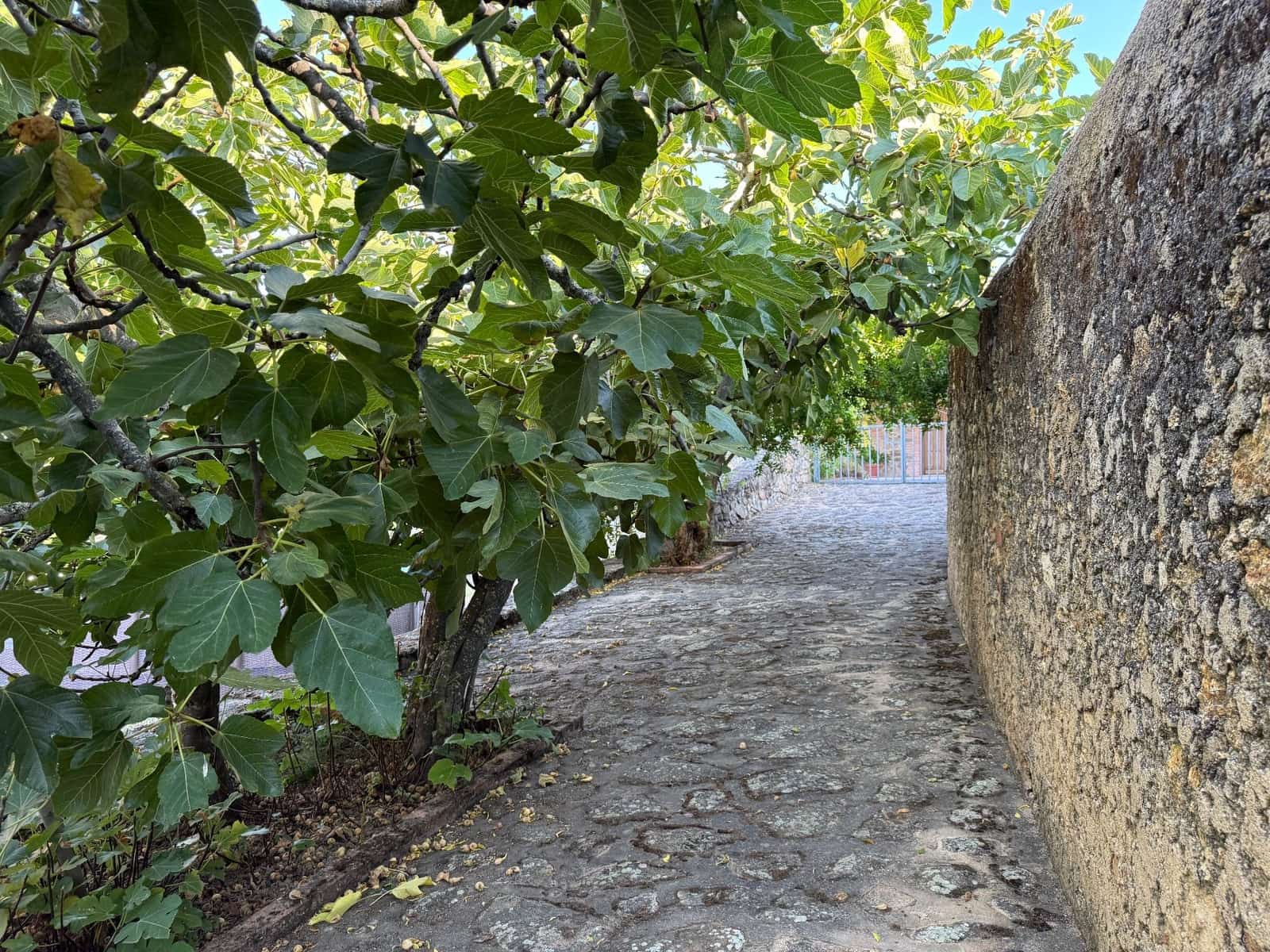 6 slaapkamer Villa te koop in San Vicente de Alcantara met garage - € 650.000 (Ref: 9303059)