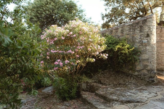 6 sypialnia Finka/Dom wiejski do wynajęcia w Valencia de Alcántara z basenem - 800 € (Ref: 9344342)