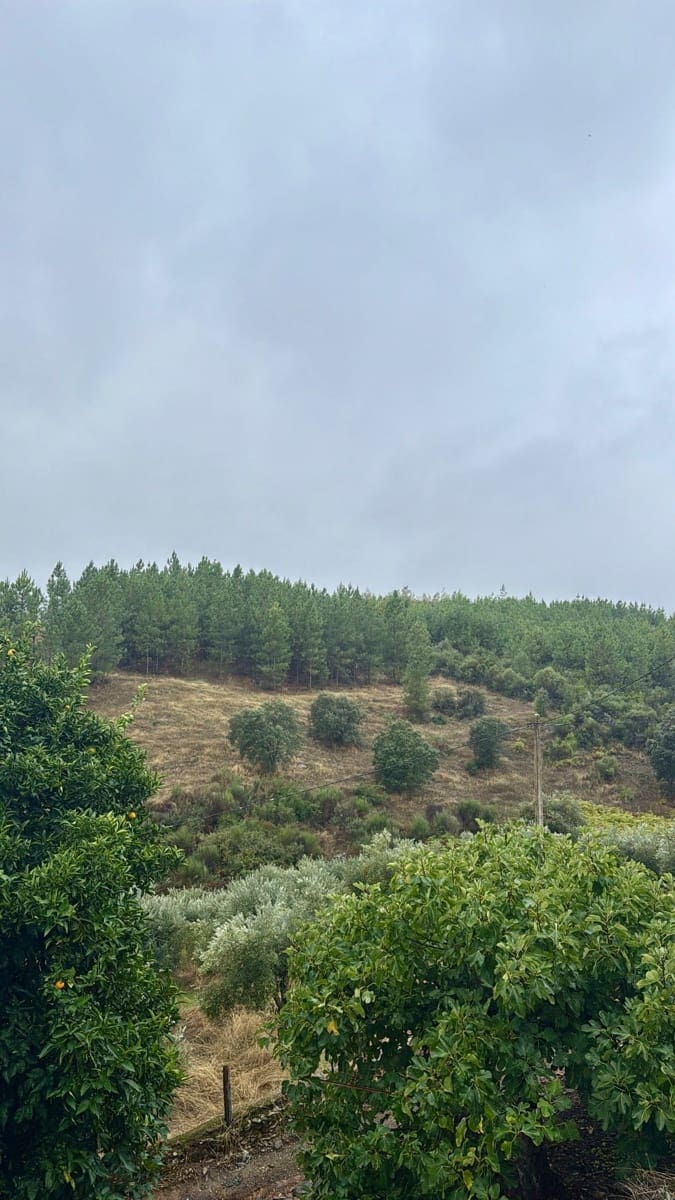 4 soverom Finca/Herregård til salgs i Valencia de Alcantara - € 160 000 (Ref: 9358863)