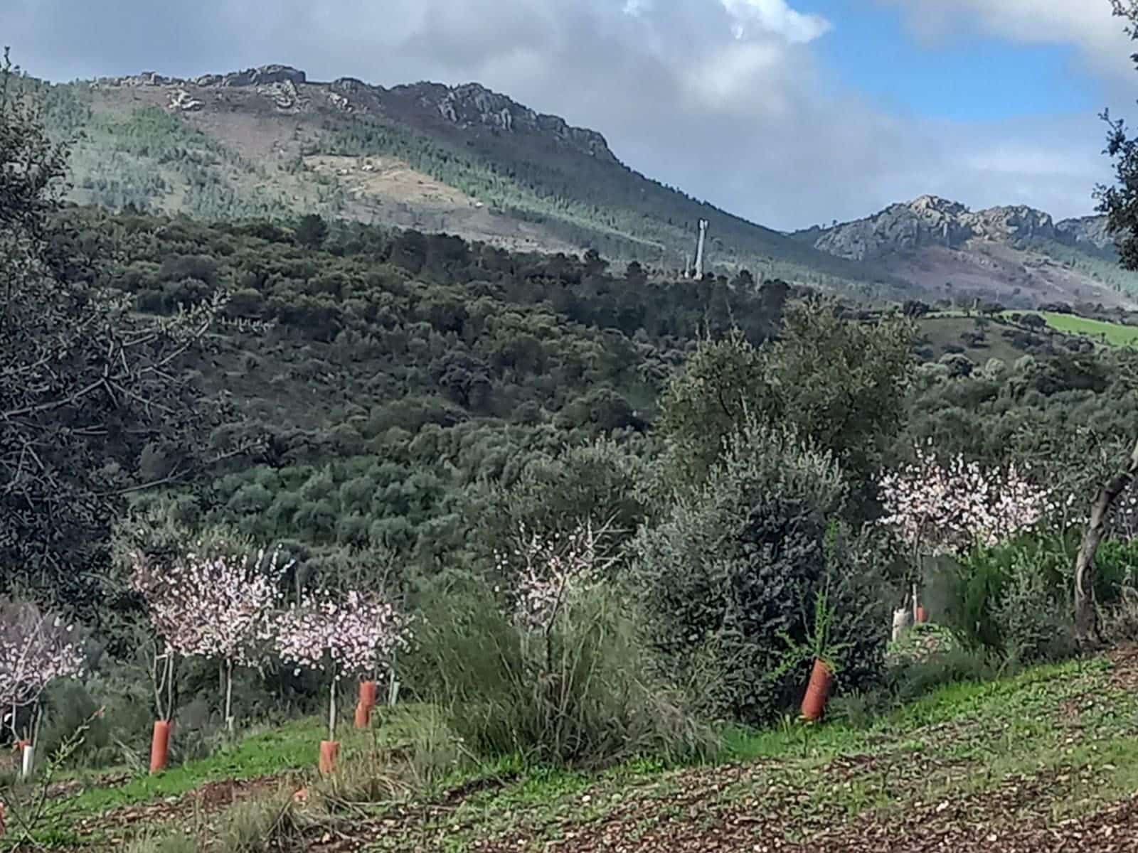 4 soverom Finca/Herregård til salgs i Valencia de Alcantara - € 160 000 (Ref: 9358863)