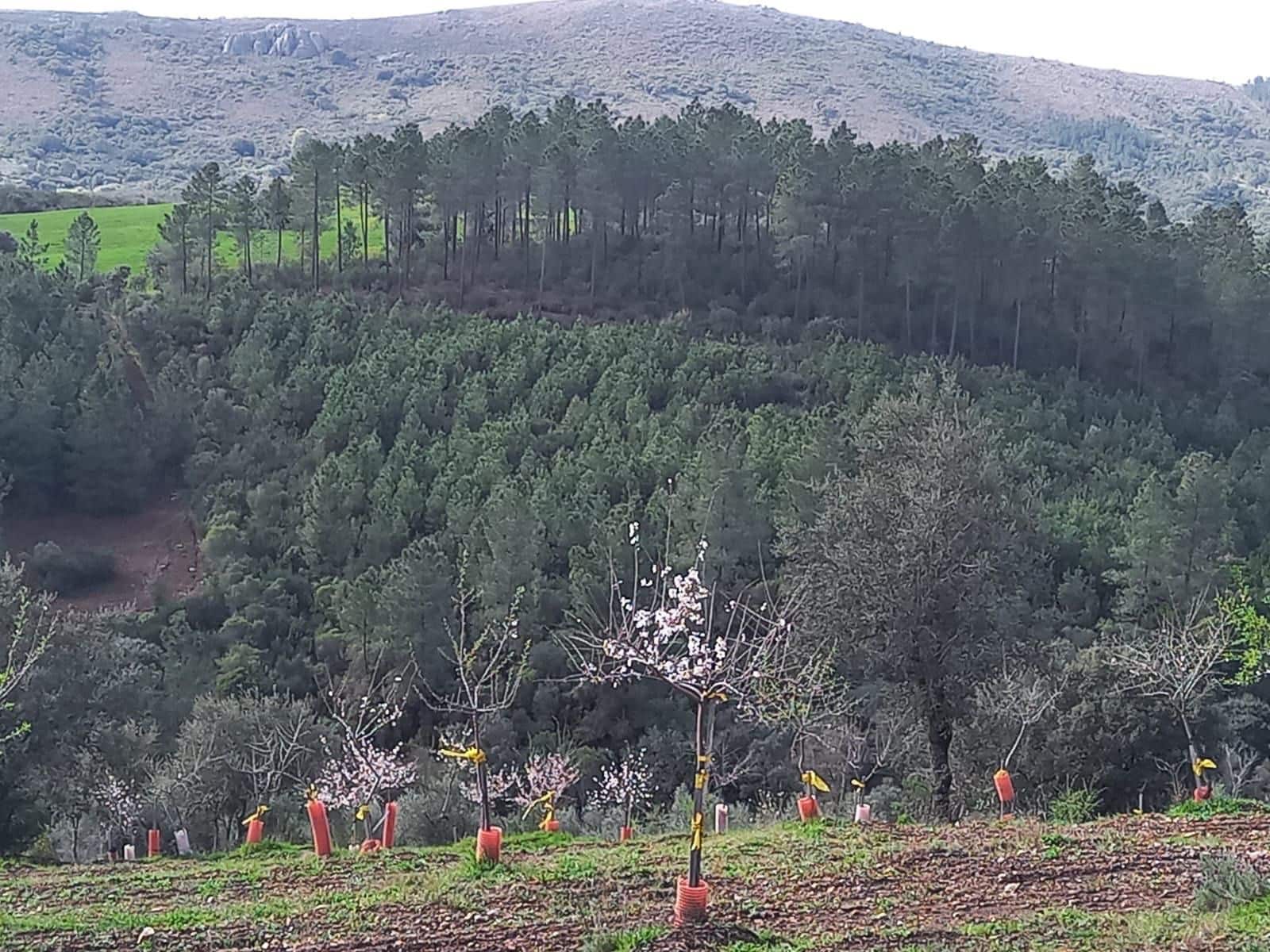 4 soverom Finca/Herregård til salgs i Valencia de Alcantara - € 160 000 (Ref: 9358863)