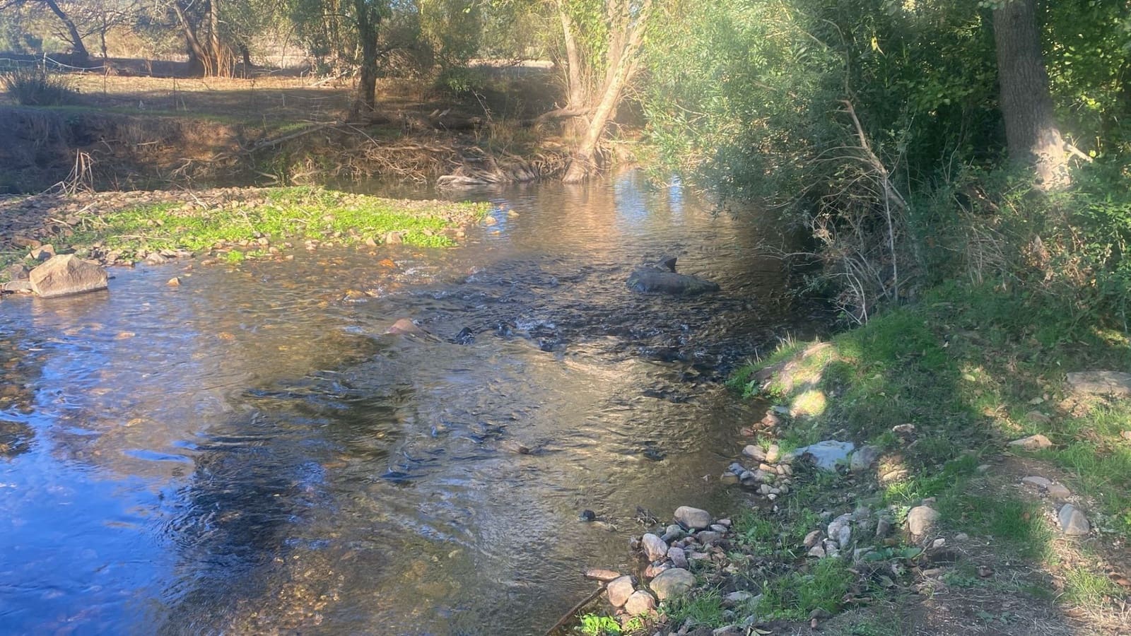 3 soverom Finca/Herregård til leie i La Codosera - € 690 (Ref: 9361950)