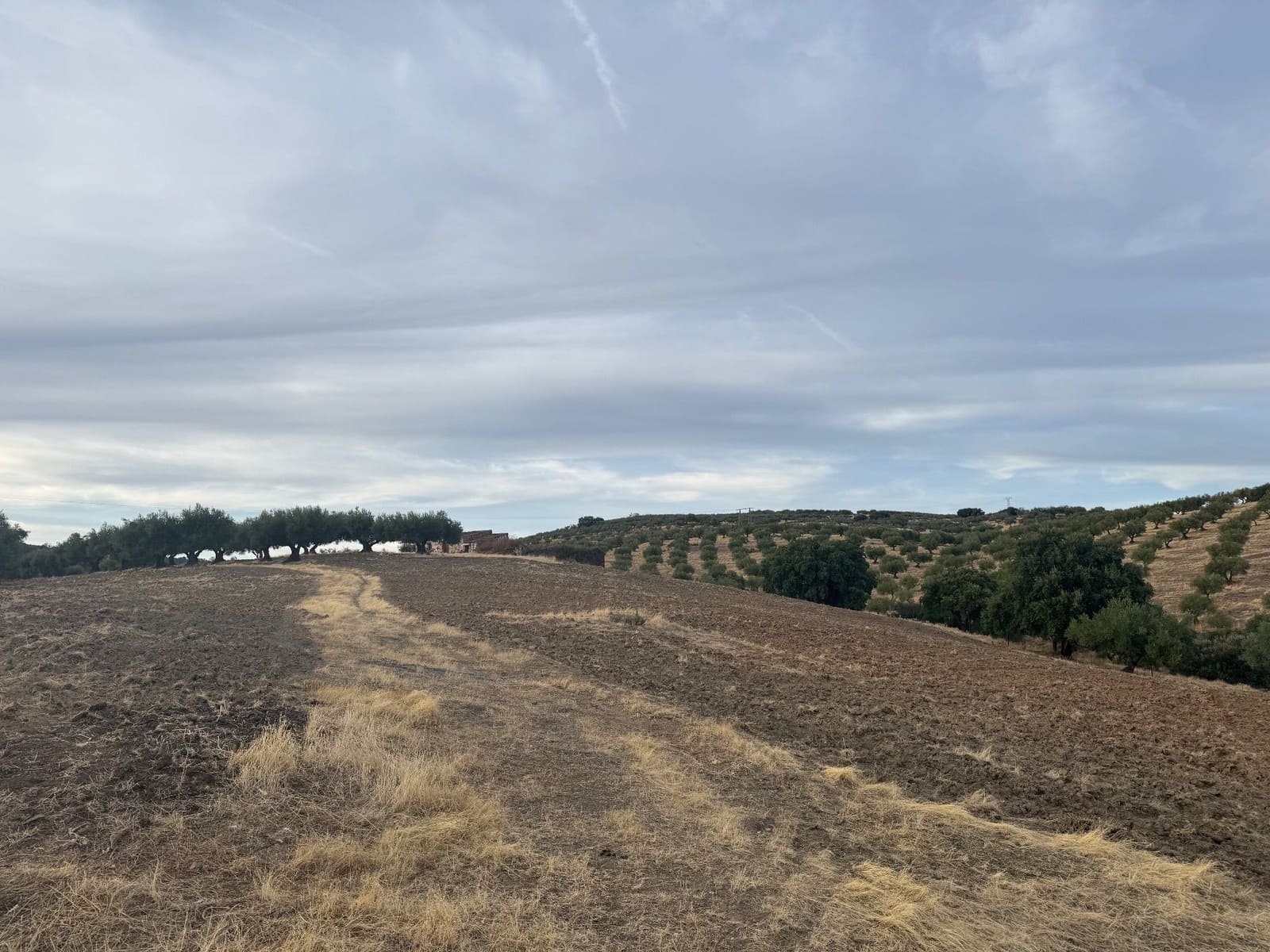 Finca/Hus på landet till salu i Valencia de Alcantara - 75 000 € (Ref: 9395724)