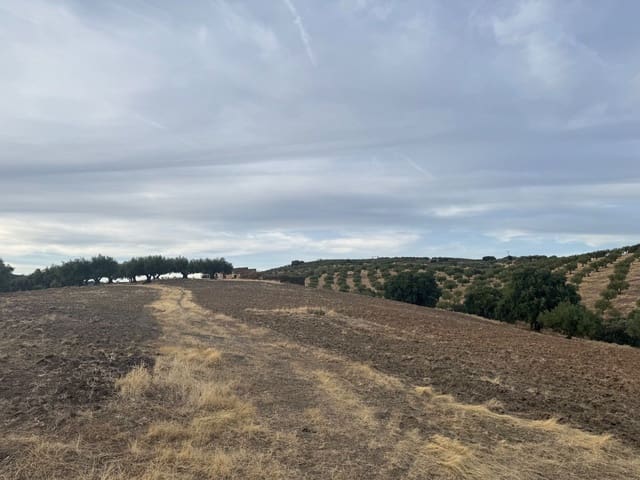 Finca/Hus på landet till salu i Valencia de Alcántara - 75 000 € (Ref: 9395724)