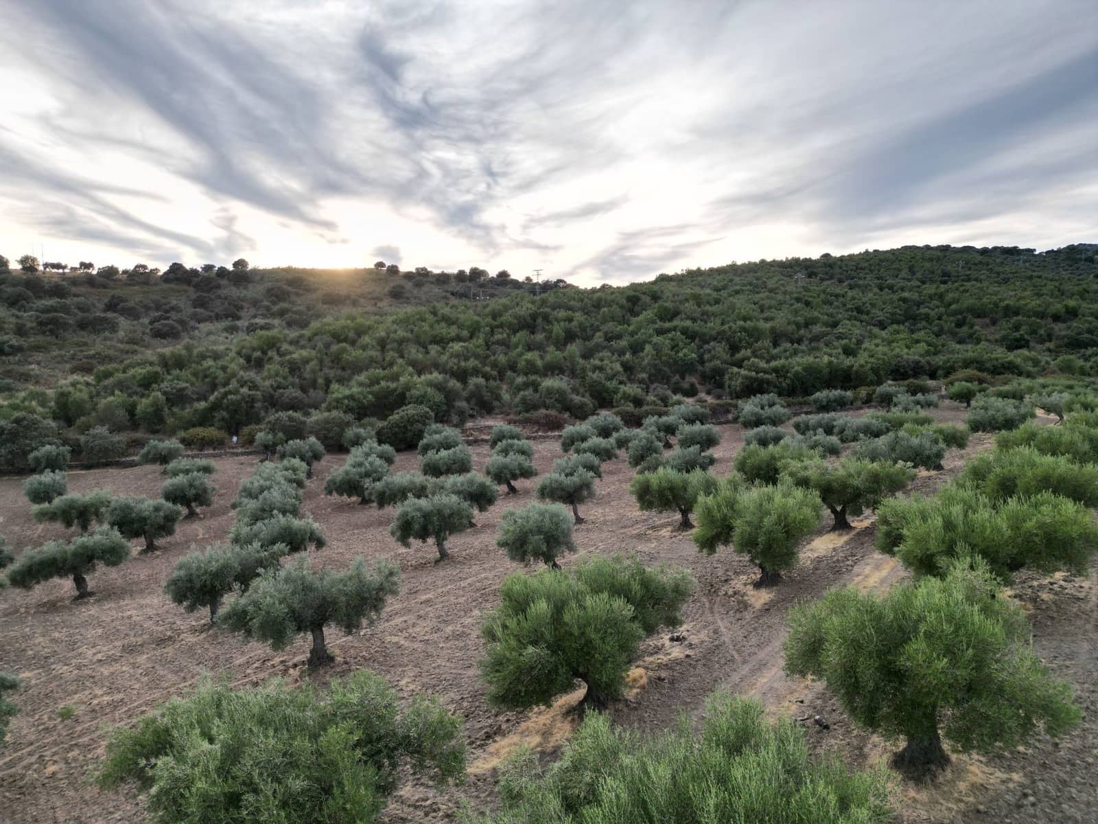 Finca/Hus på landet till salu i Valencia de Alcantara - 75 000 € (Ref: 9395724)