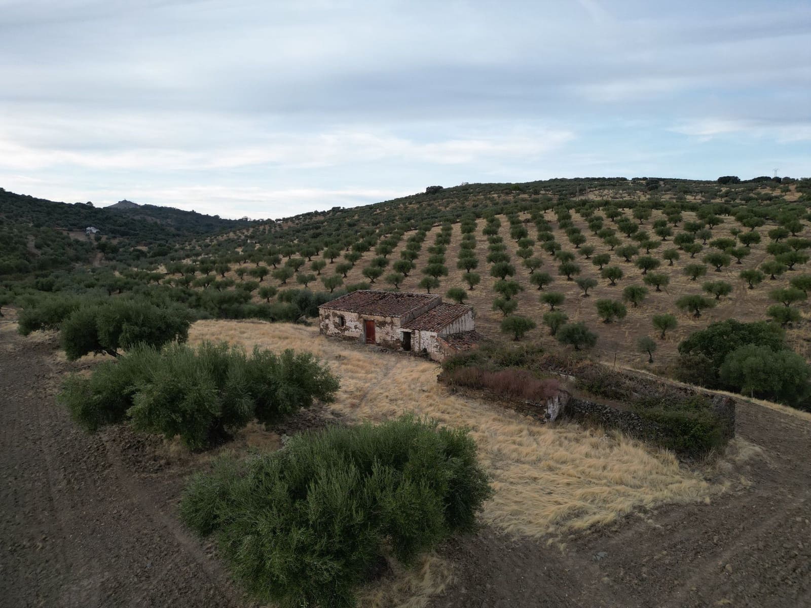 Finca/Hus på landet till salu i Valencia de Alcantara - 75 000 € (Ref: 9395724)