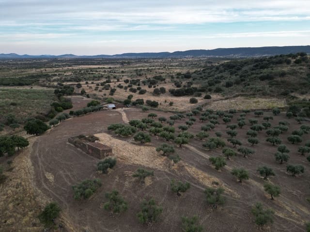 Finca/Hus på landet till salu i Valencia de Alcántara - 75 000 € (Ref: 9395724)