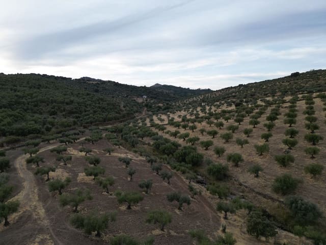 Finca/Hus på landet till salu i Valencia de Alcántara - 75 000 € (Ref: 9395724)