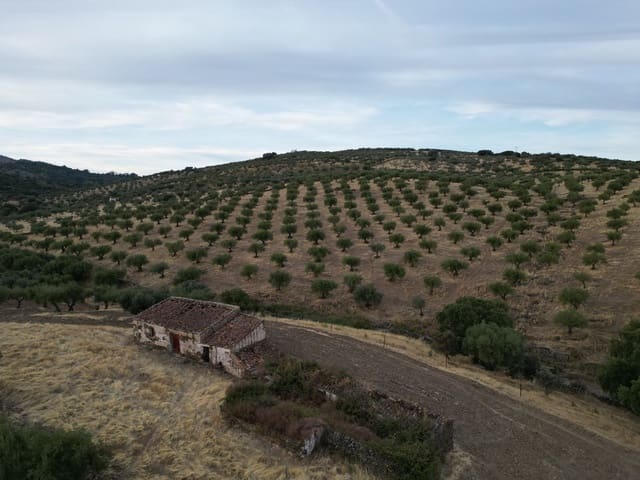 Finca/Hus på landet till salu i Valencia de Alcántara - 75 000 € (Ref: 9395724)