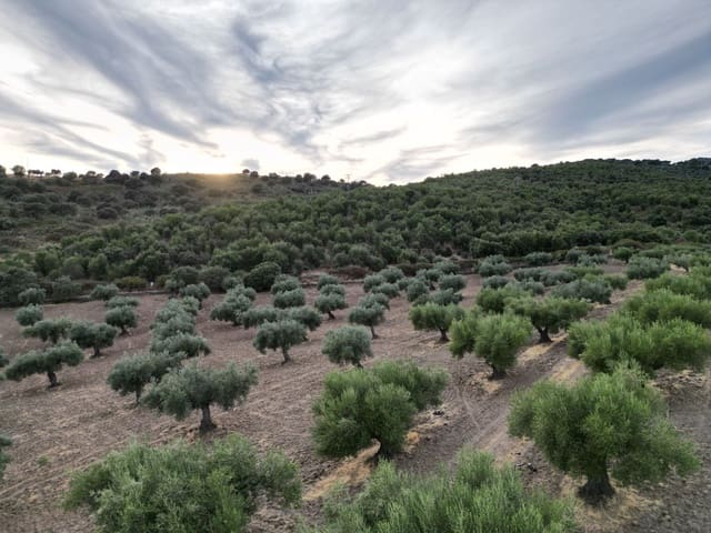 Finca/Hus på landet till salu i Valencia de Alcántara - 75 000 € (Ref: 9395724)