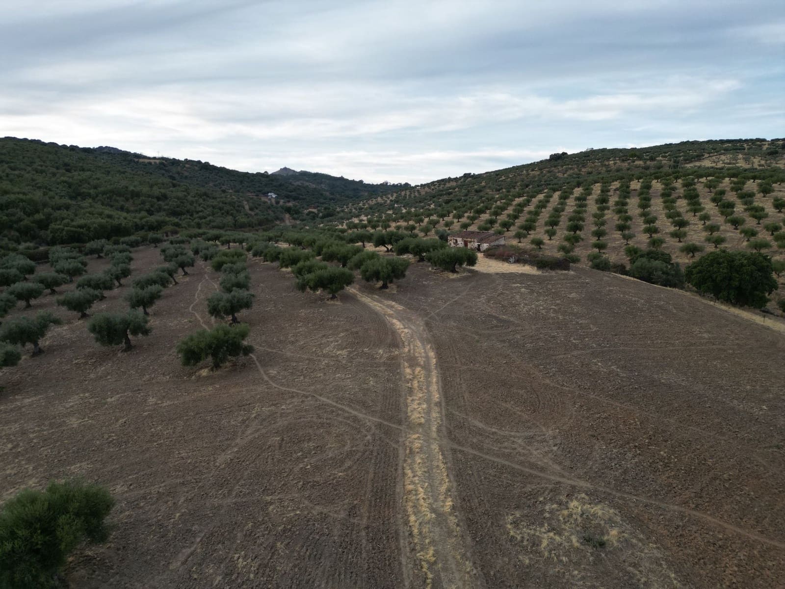 Finca/Hus på landet till salu i Valencia de Alcantara - 75 000 € (Ref: 9395724)