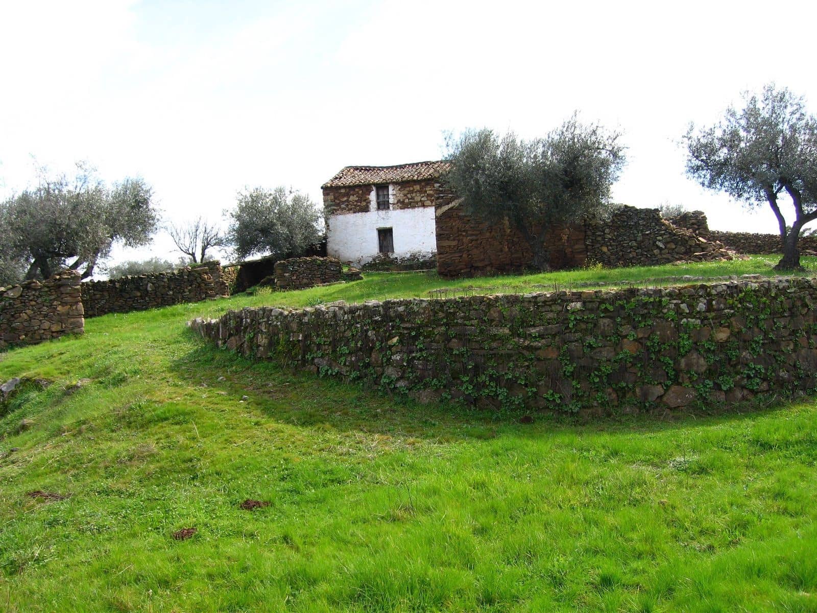 Finca/Landehus til salg i San Vicente de Alcantara - € 45.000 (Ref: 9418997)