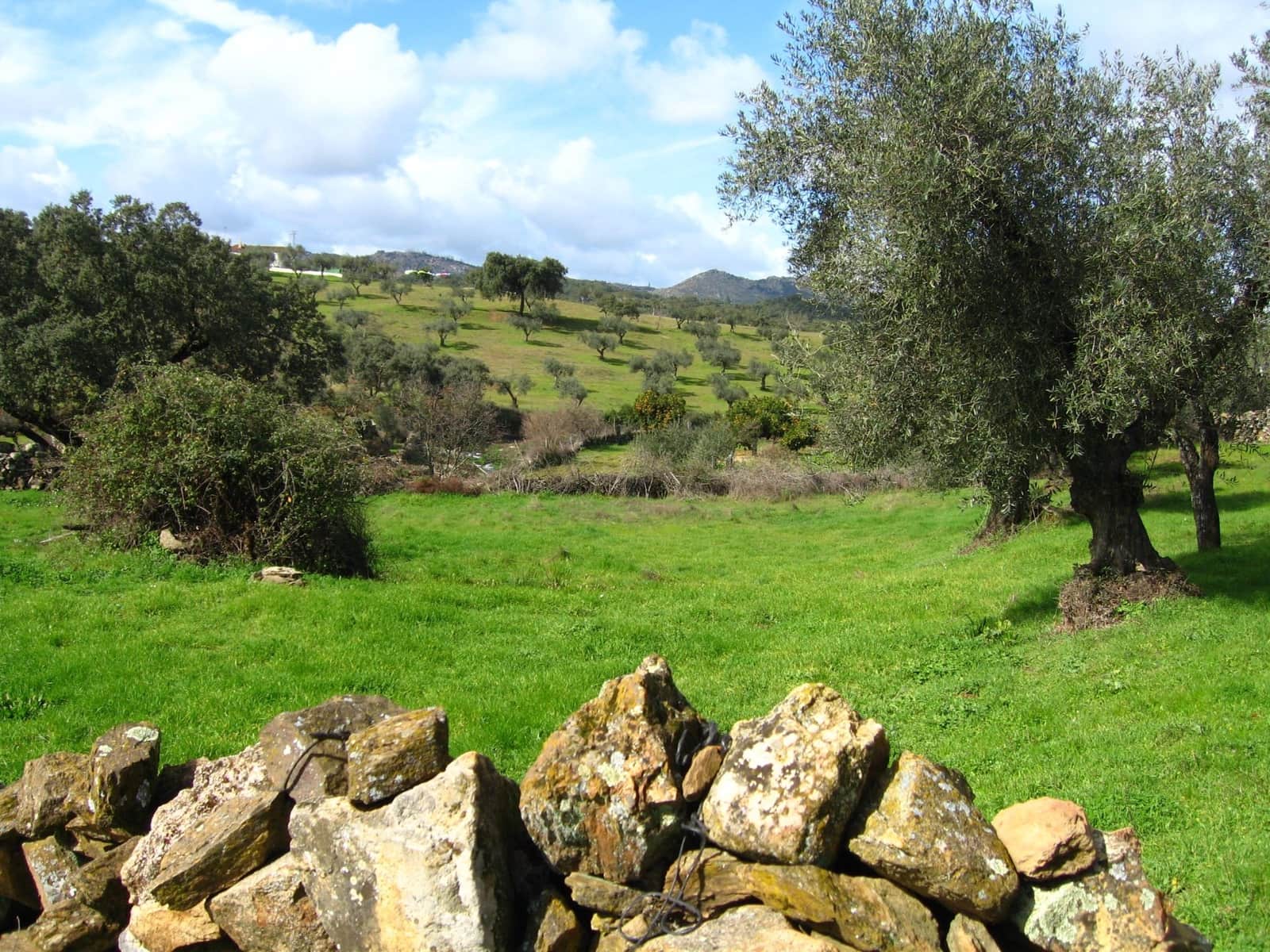 Finca/Landehus til salg i San Vicente de Alcantara - € 45.000 (Ref: 9418997)