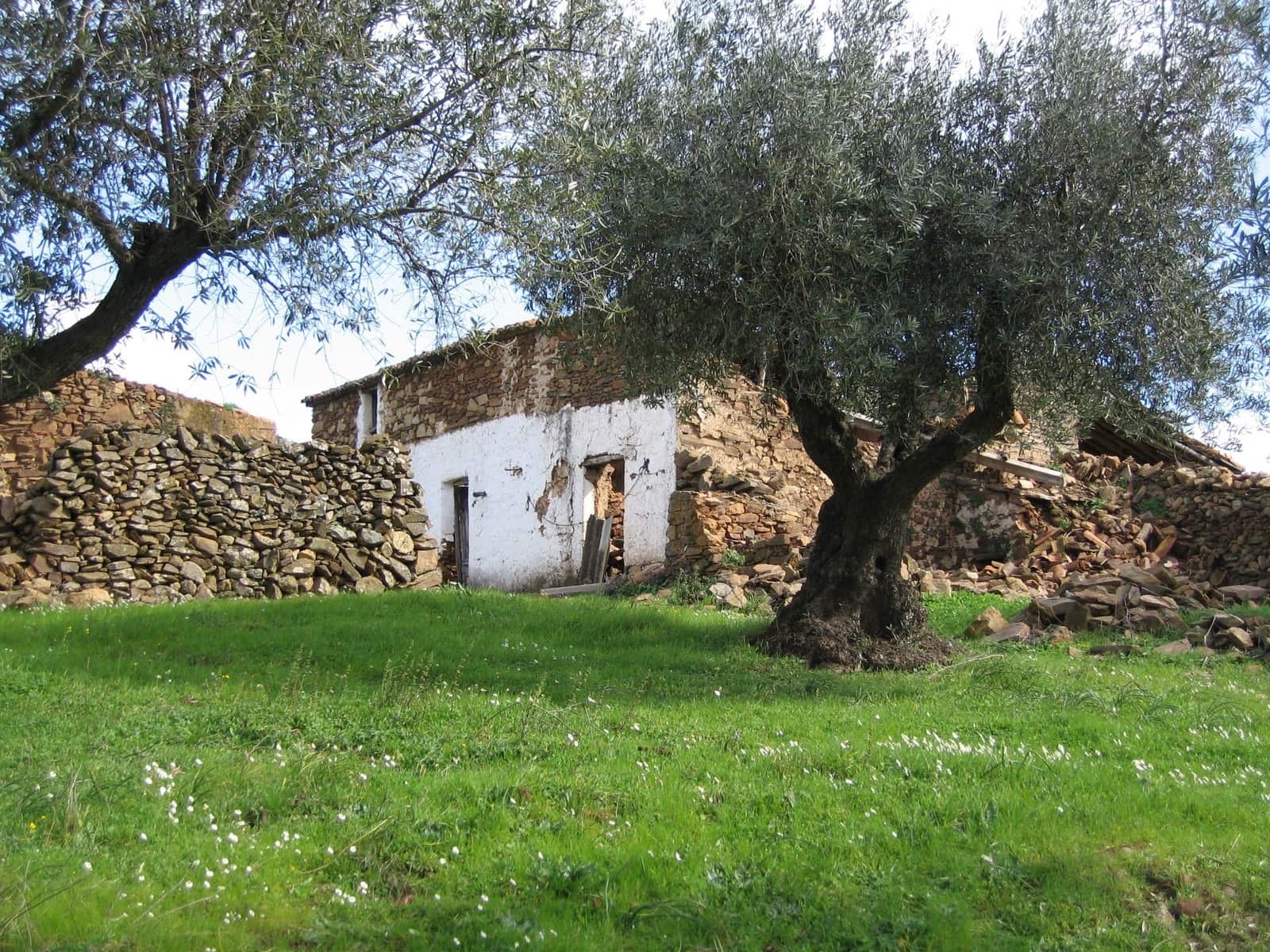 Finca/Landehus til salg i San Vicente de Alcantara - € 45.000 (Ref: 9418997)