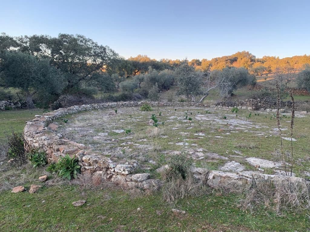 Finca/Landehus til salg i San Vicente de Alcantara - € 45.000 (Ref: 9418997)