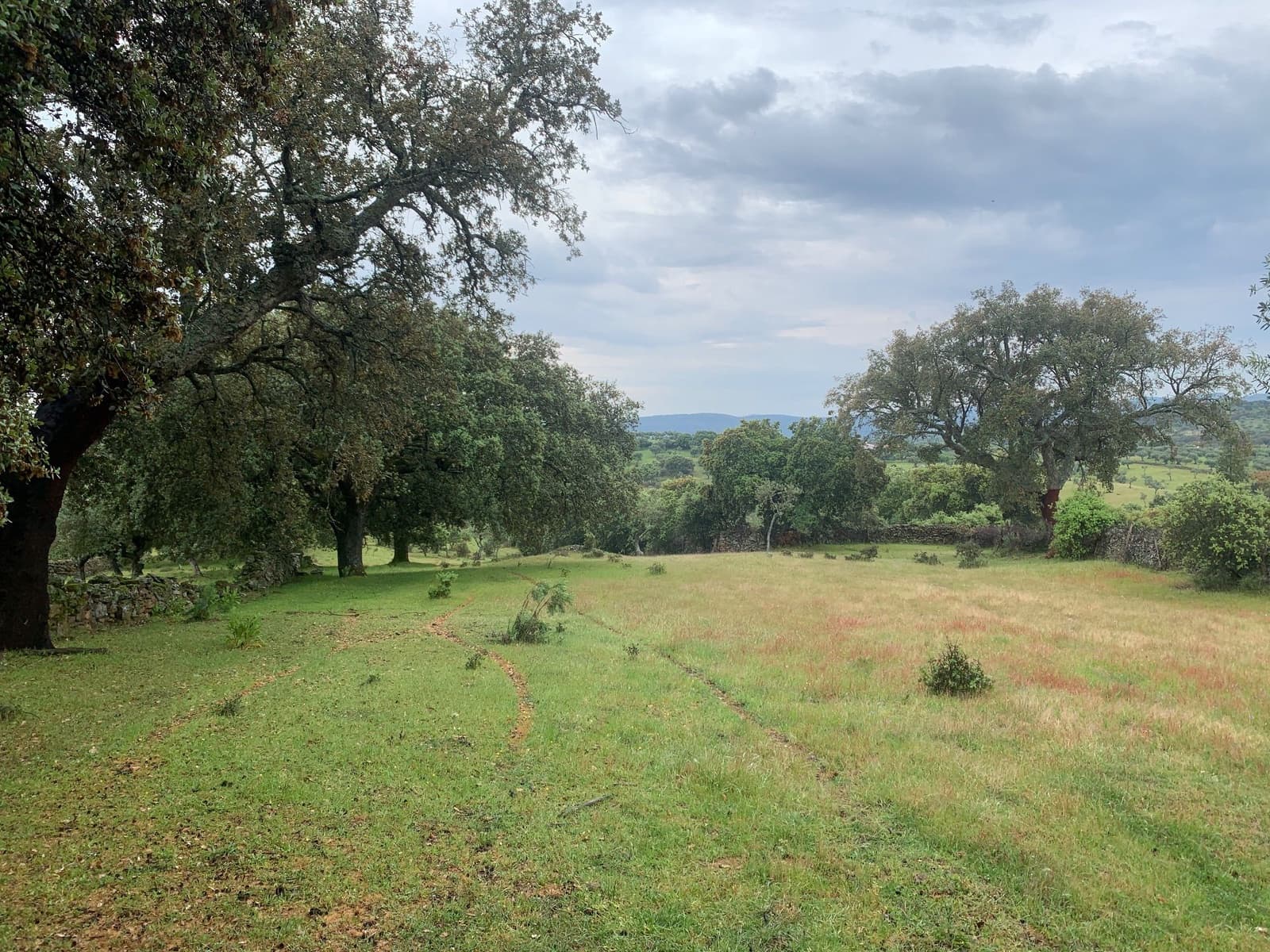 Finca/Landehus til salg i San Vicente de Alcantara - € 45.000 (Ref: 9418997)