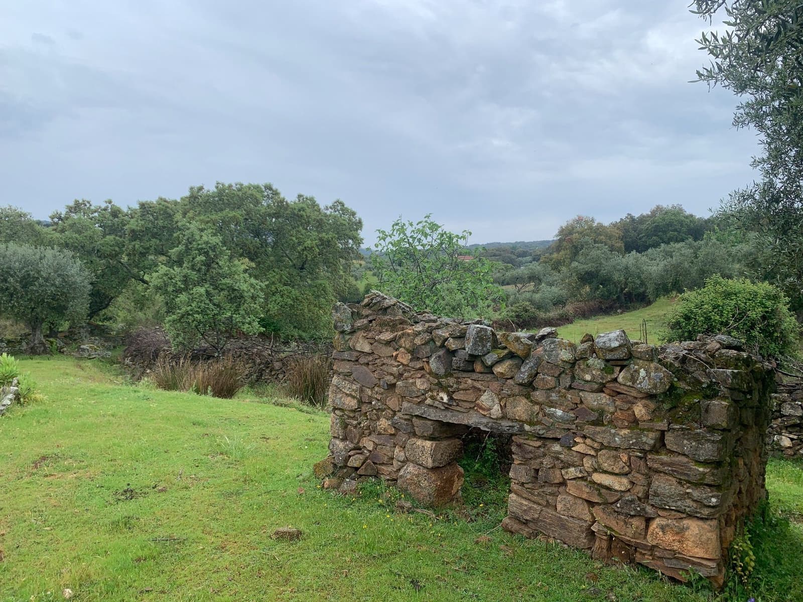 Finca/Landehus til salg i San Vicente de Alcantara - € 45.000 (Ref: 9418997)