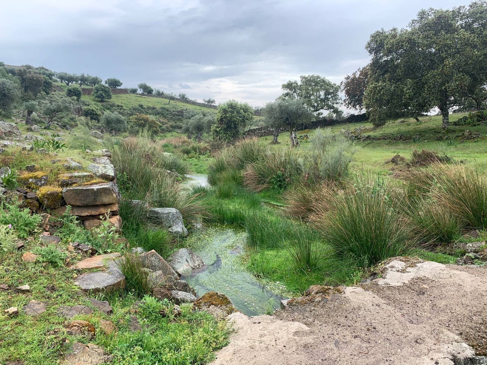 Finca/Landehus til salg i San Vicente de Alcantara - € 45.000 (Ref: 9418997)