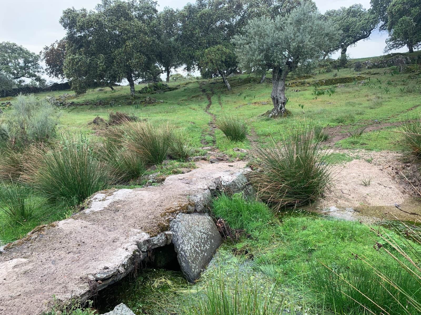 Finca/Landehus til salg i San Vicente de Alcantara - € 45.000 (Ref: 9418997)