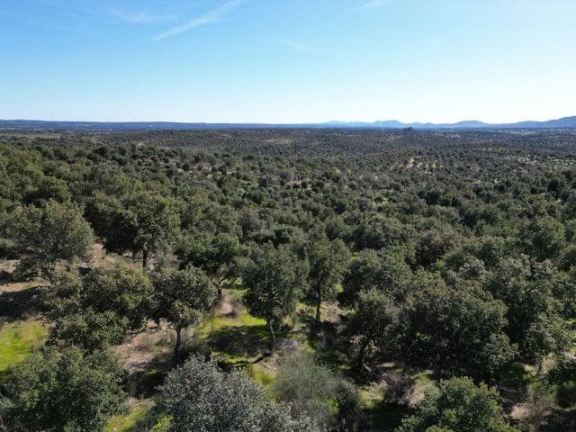 Finca/Hus på landet till salu i Valencia de Alcantara - 125 000 € (Ref: 9426879)