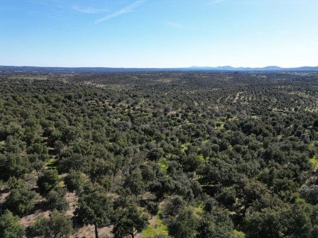 Finca/Hus på landet till salu i Valencia de Alcantara - 125 000 € (Ref: 9426879)