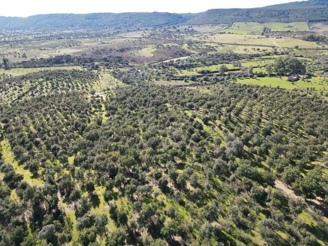 Finca/Hus på landet till salu i Valencia de Alcantara - 125 000 € (Ref: 9426879)